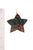 Seed Beaded Star Hook Earring