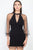 Pearl Trim Mesh Bodycon Dress